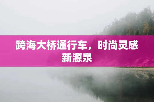 跨海大桥通行车，时尚灵感新源泉