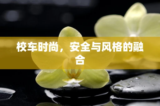 校车时尚，安全与风格的融合
