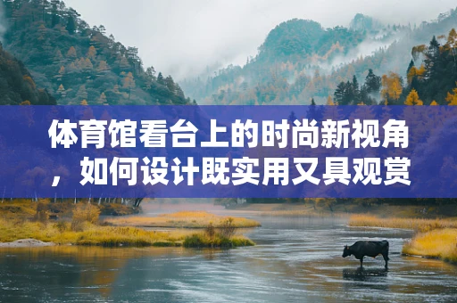体育馆看台上的时尚新视角，如何设计既实用又具观赏性的观众席装束？