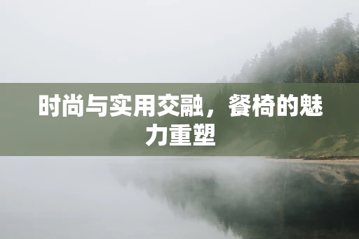 时尚与实用交融，餐椅的魅力重塑