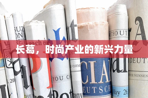 长葛，时尚产业的新兴力量