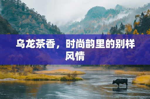 乌龙茶香，时尚韵里的别样风情